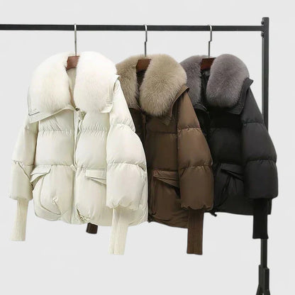 Sorrel | Comfortable Jacket